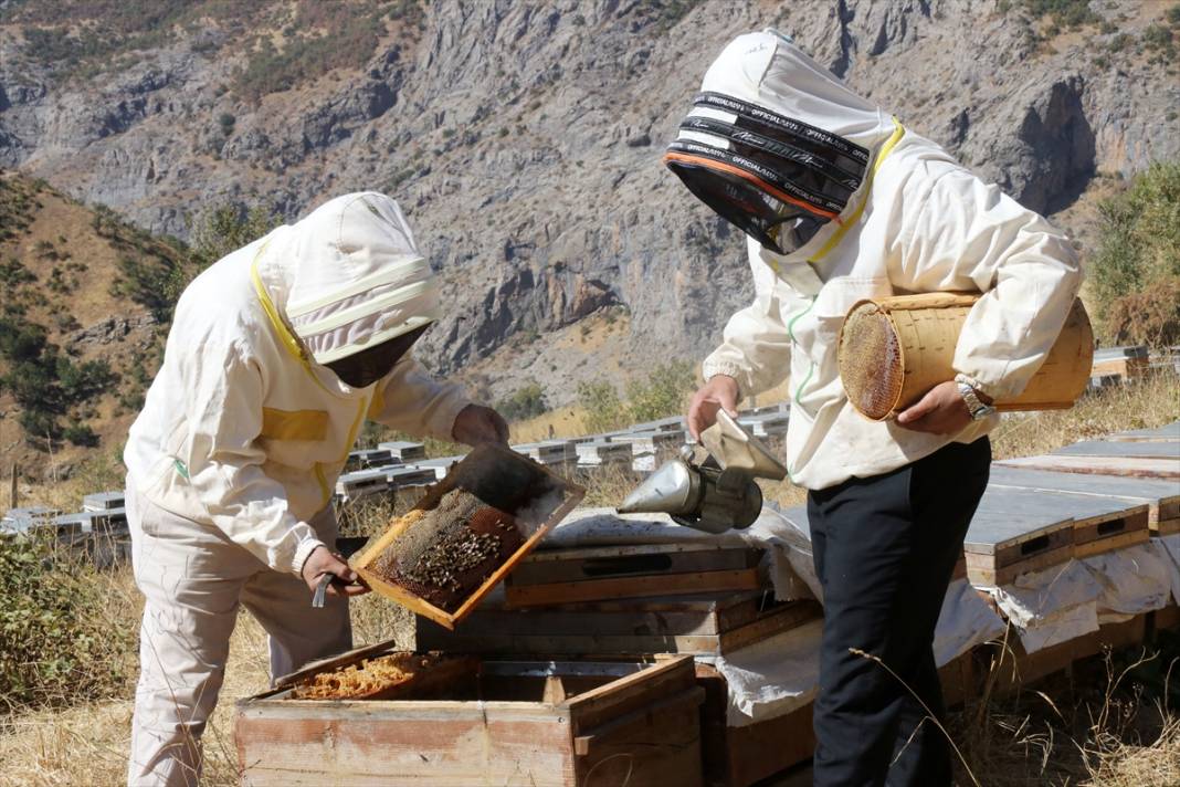 Terörün susturduğu köy, arılarla tekrar hayat buldu 4